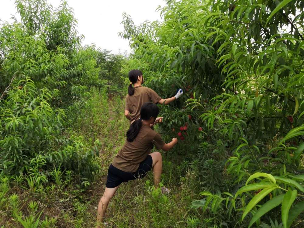 荆州叛逆青少年学校收费标准.jpg