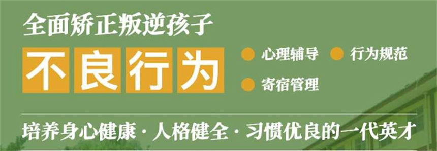 淄博排名前十针对叛逆青少年学校