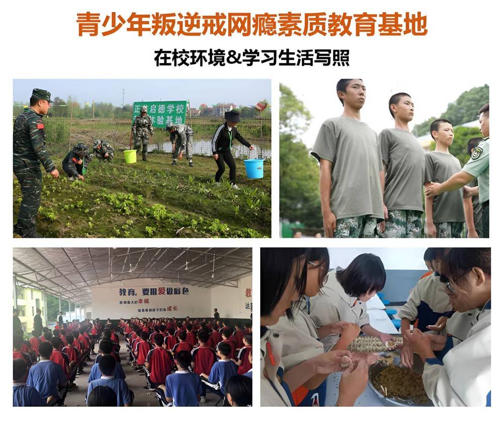 衡水一线青少年叛逆教育培训基地名单榜