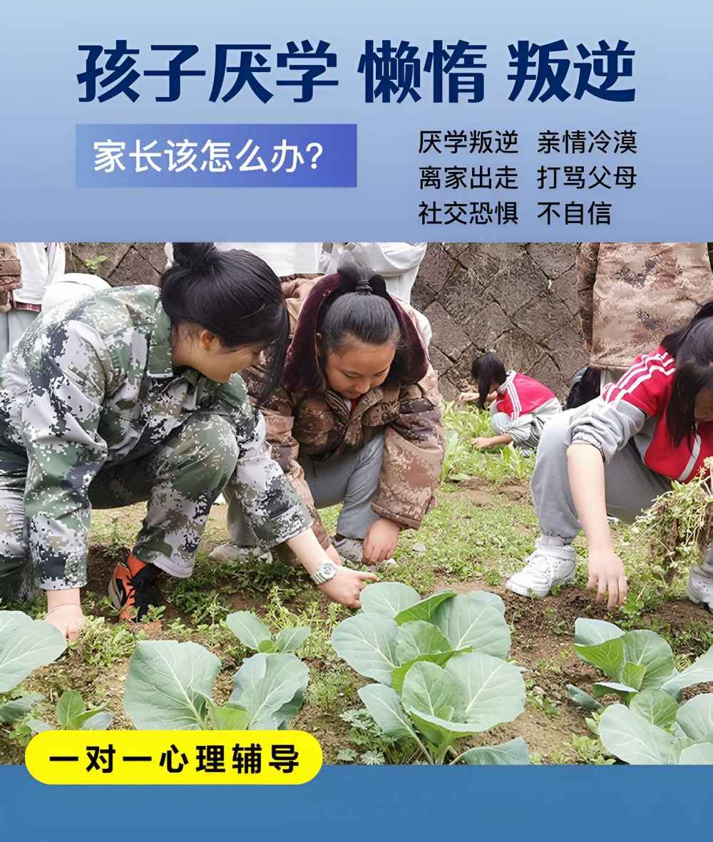 芜湖前10名改造叛逆青少年学校