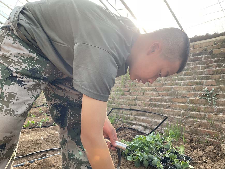 衡水口碑好的管教叛逆不听话孩子的学校哪家好