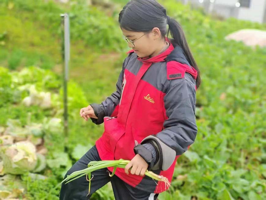 安顺叛逆孩子矫正学校机构名录