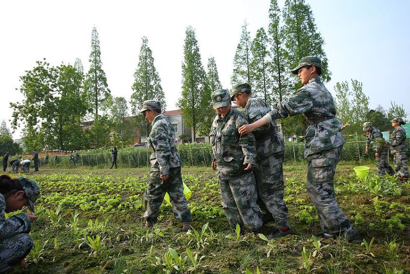 雅安方城叛逆少年封闭管教学校