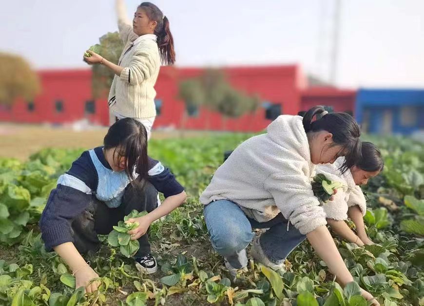 七台河口碑好的管教不听话孩子的学校排行榜