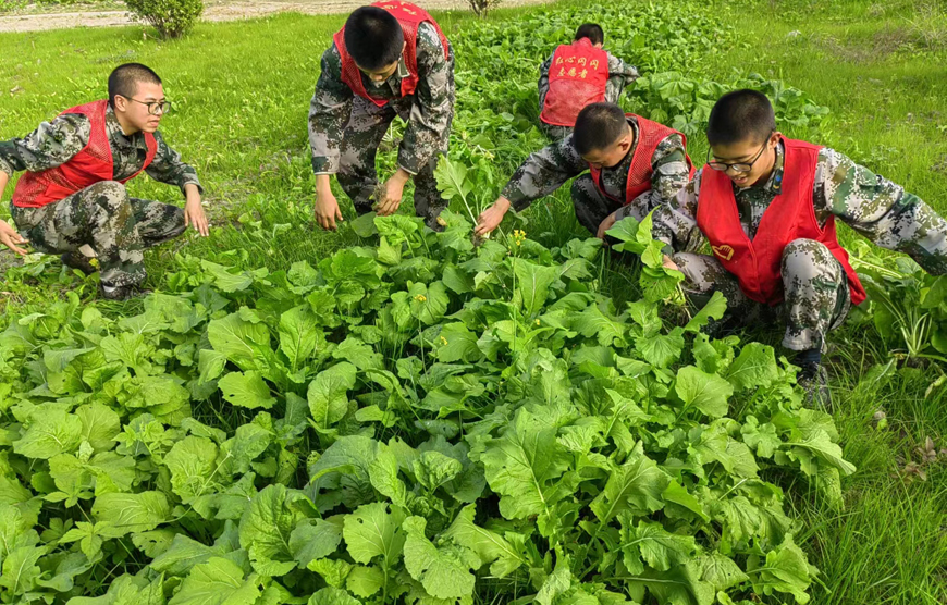 钦州青少年厌学叛逆教育机构