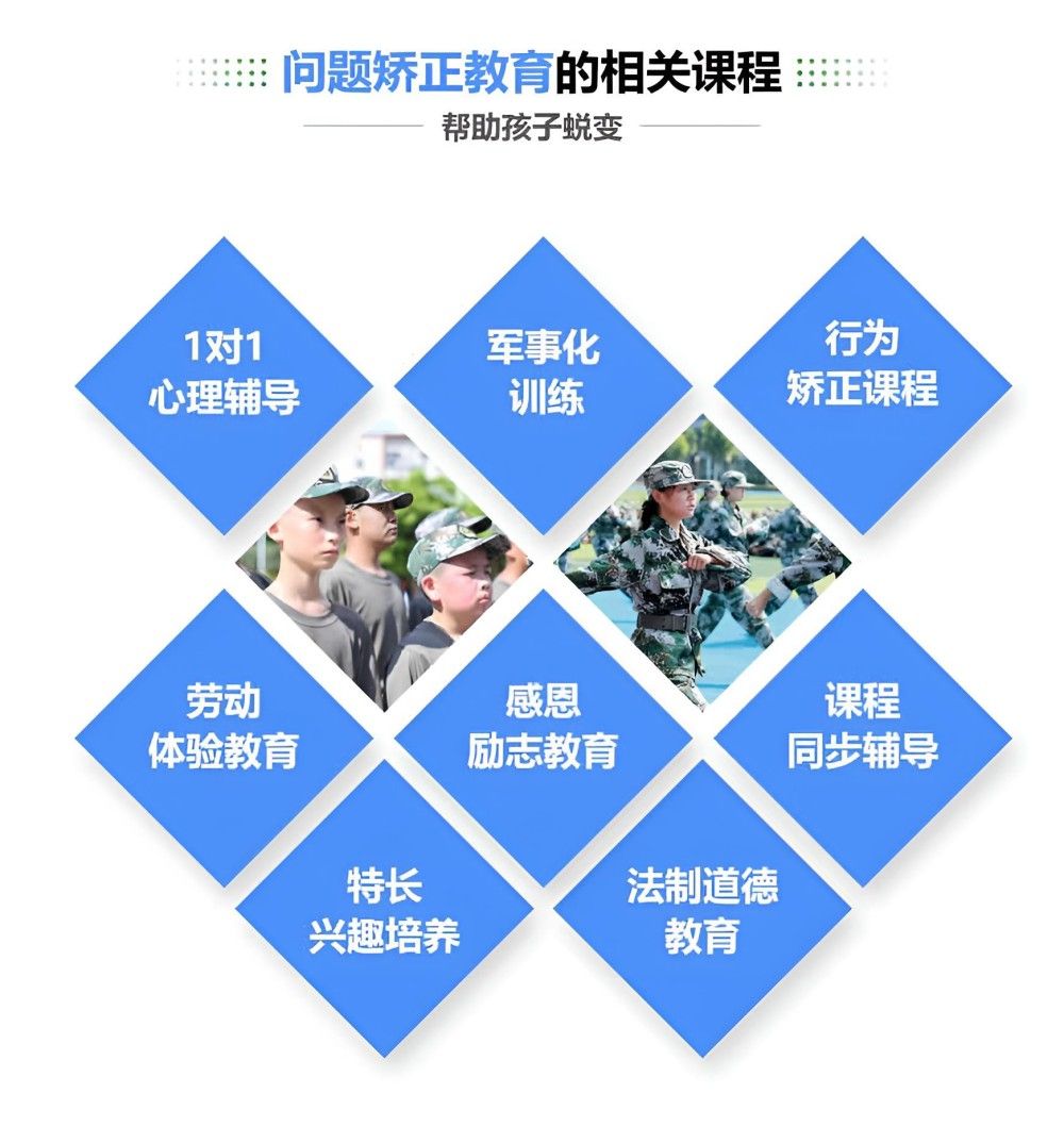 叛逆青少年调整学校机构名录