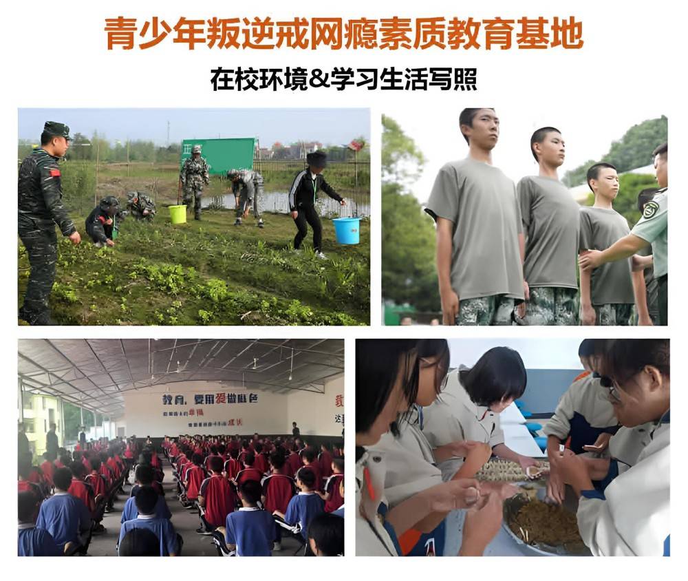 防城港口碑好的少年戒网瘾学校综合榜